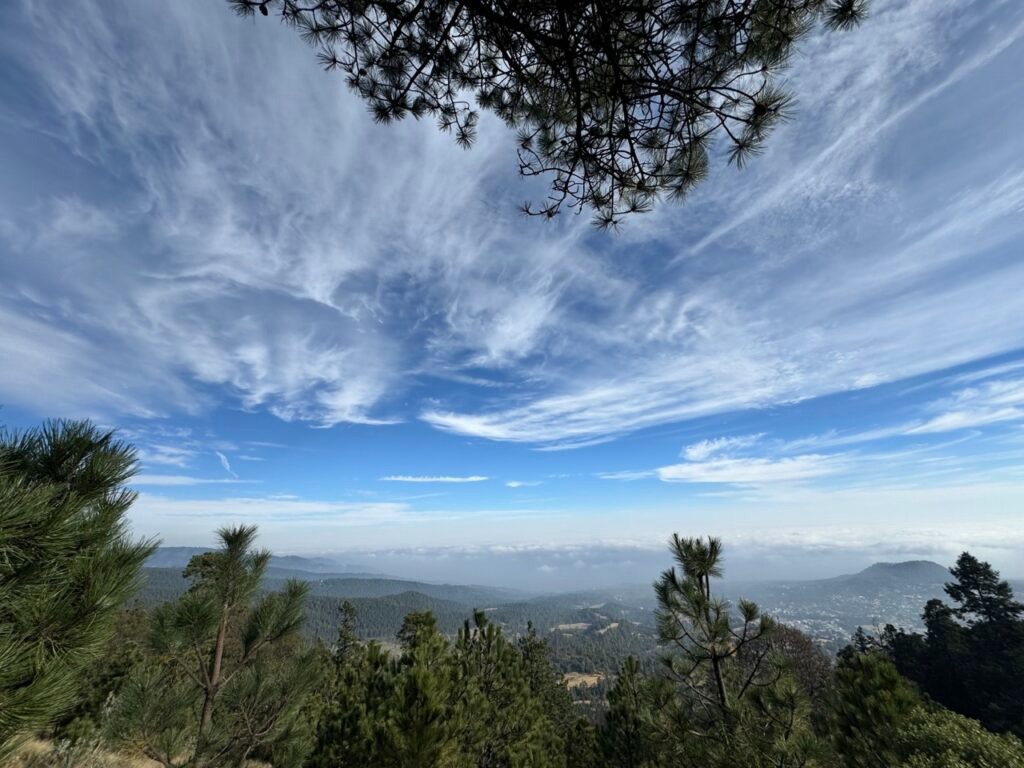 Ajusco: Desaparecidos y cientos de cuerpos sin vida hallados en el bosque